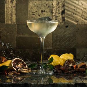 Bar Trigona