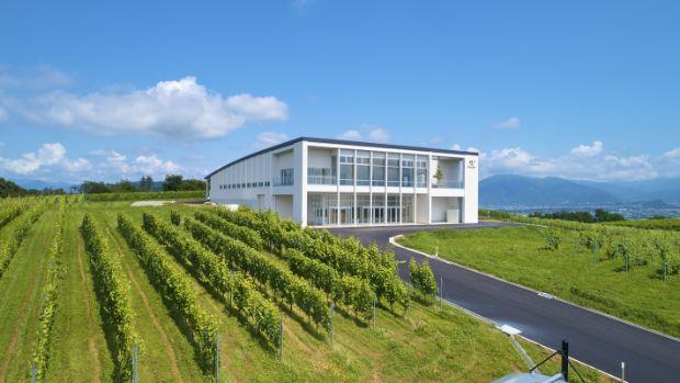 Château Mercian Mariko Winery - Image 2 Château Mercian Mariko Winery - Image 2