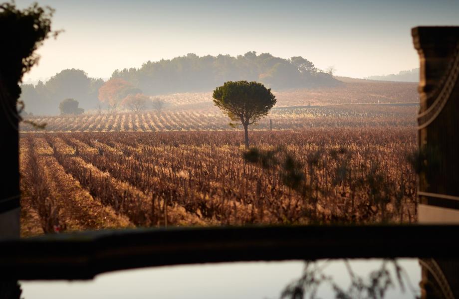 Beaucastel2 Beaucastel2