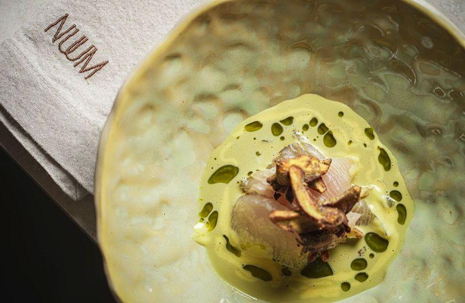 Nuum_dish1 Nuum_dish1