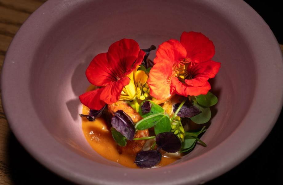 Soil-dish2-yiamouris