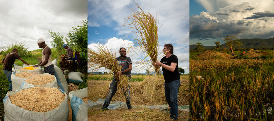 Gaggan Anand and Andoni Luis Aduriz uncover the human stories behind rice in Tanzania