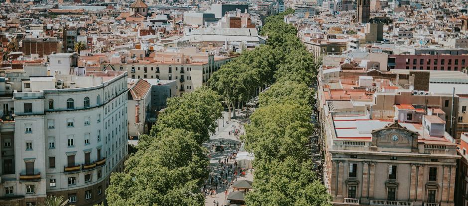 Where Barcelona's best chefs go for tapas and a caña