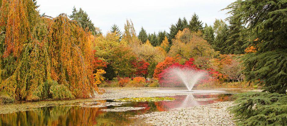 Vancouver bartenders and chefs recommend the city’s best places for off-duty eats and retreats