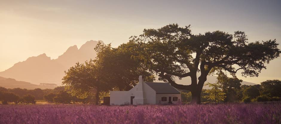 The ultimate guide to South Africa’s Winelands
