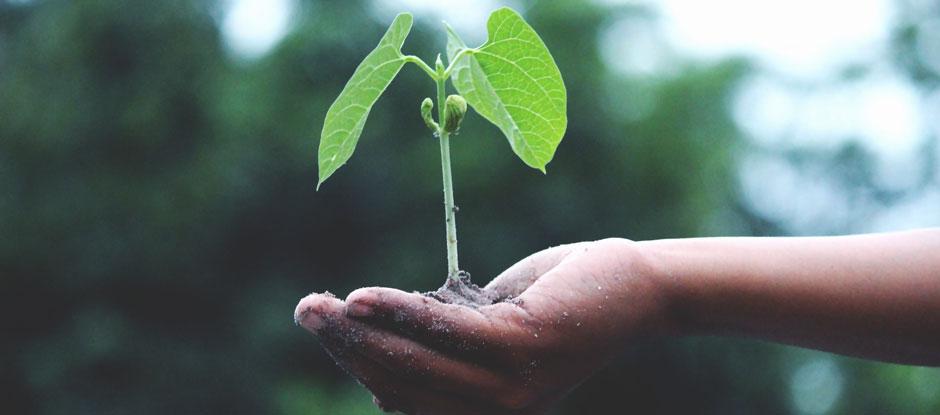 How to reopen more sustainably – a guide for restaurants and bars as they enter the next phase of the pandemic