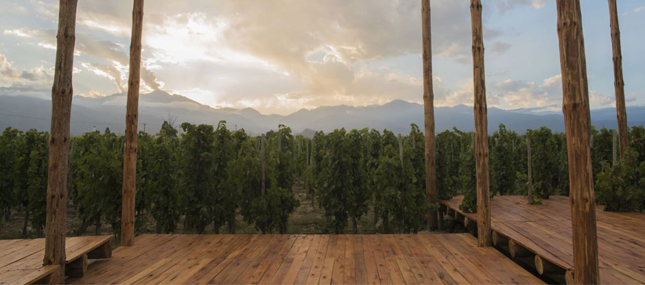 Tegui pops up in Mendoza for 40 days