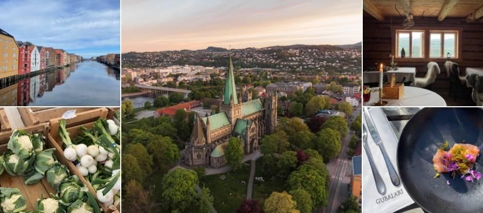 Reindeer, fine dining and foraging: why Norway’s Trondheim should be on your foodie bucket list