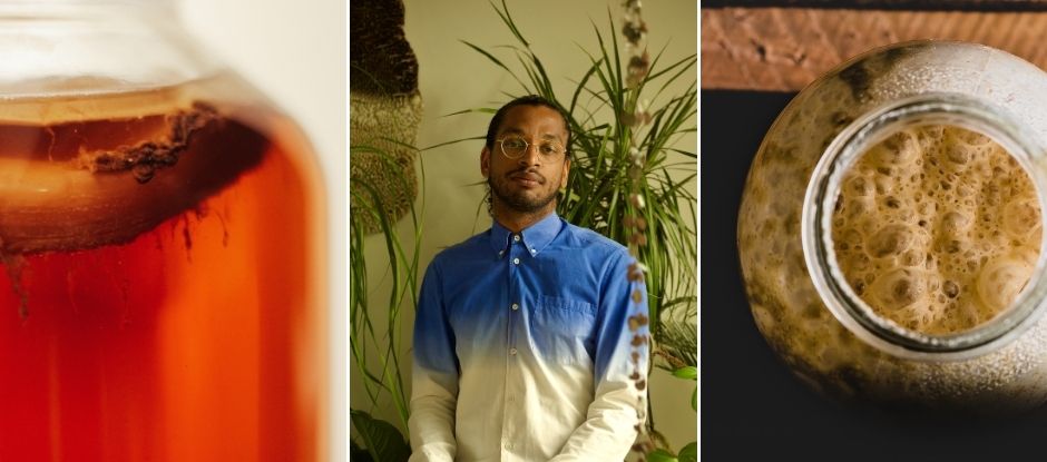 The Democratisation of Fermentation, by David Zilber