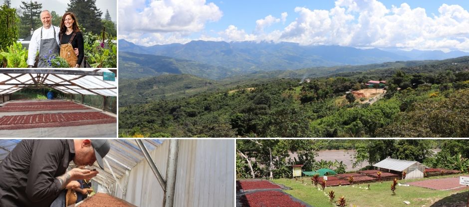 Beyond the bean – the SingleThread team discover how coffee and cacao are defeating drug lords in Peru
