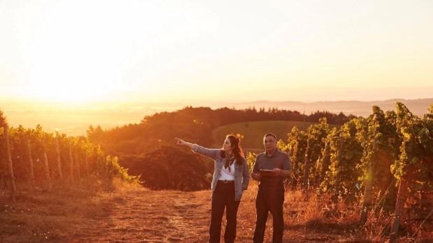 Maysara Winery