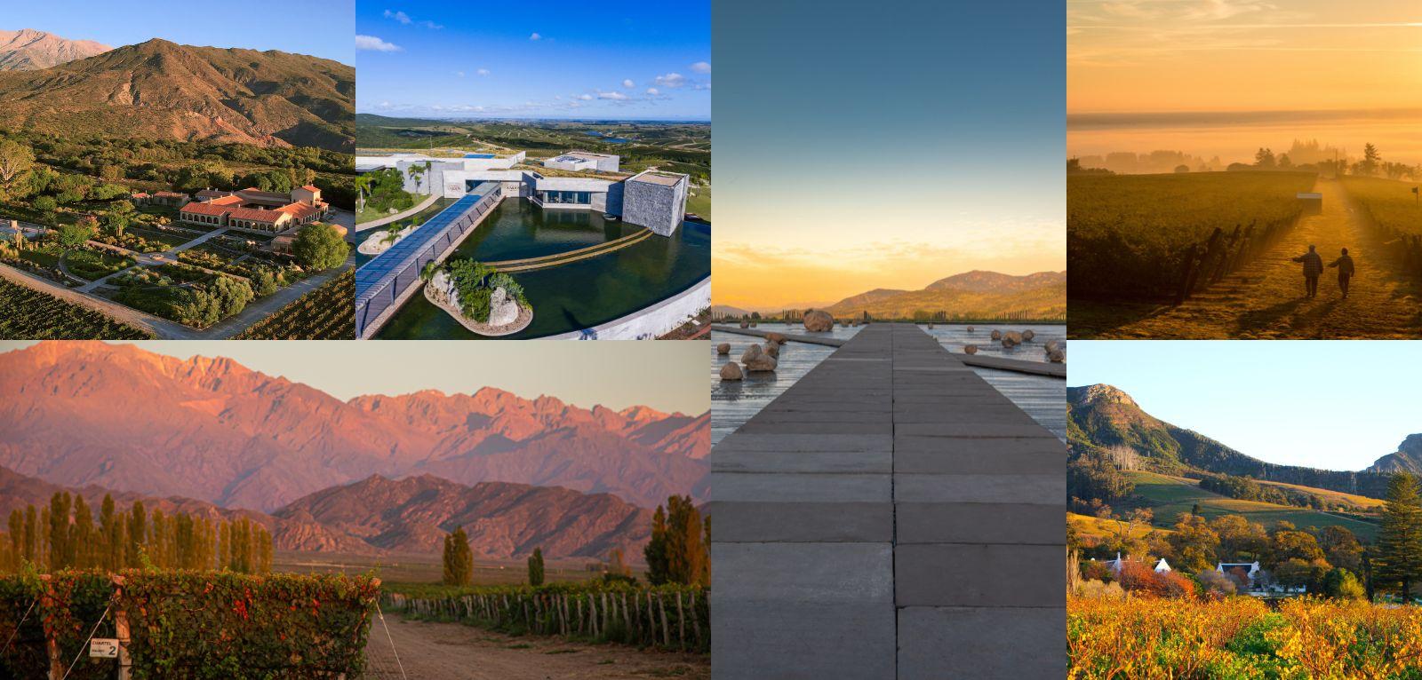 The World's 50 Best Vineyards 2025