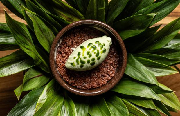 El Xolo