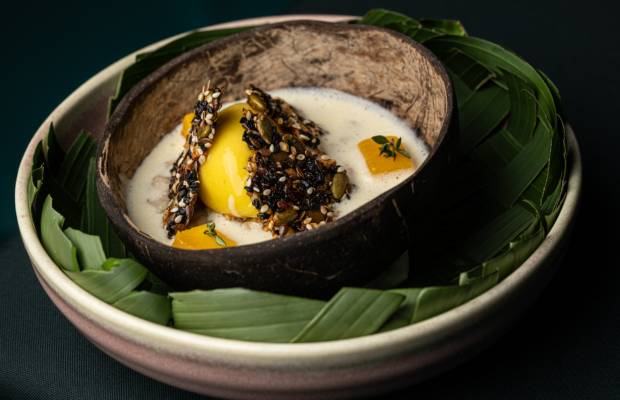 La Tapa Del Coco
