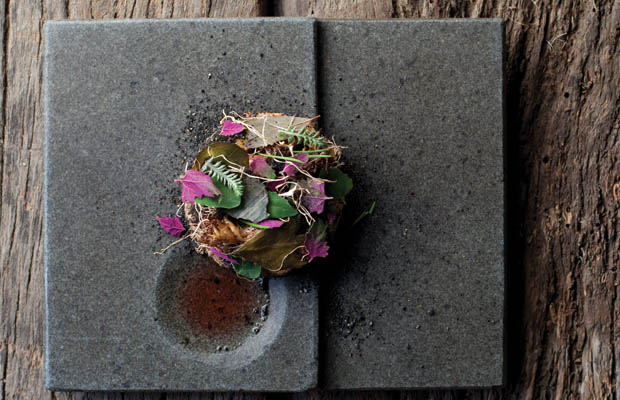 Borago-World-2016-dish1