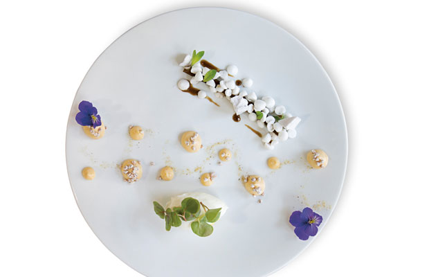 PiazzaDuomo_dish3_2015