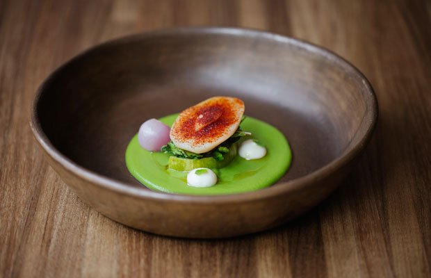 Pujol-WORLD-2016-DISH1