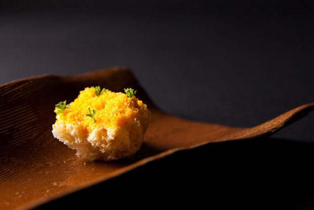 DOM-LATAM-2016-DISH1