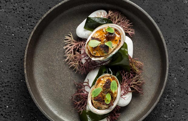 AMBER-ASIA-2017-DISH2