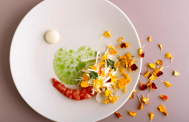 RAW-ASIA-2017-DISH2