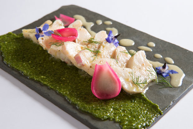 Ambrosia-LATAM-2017-DISH2
