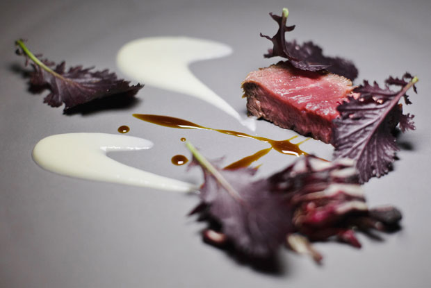Aramburu-LATAM-2017-DISH1