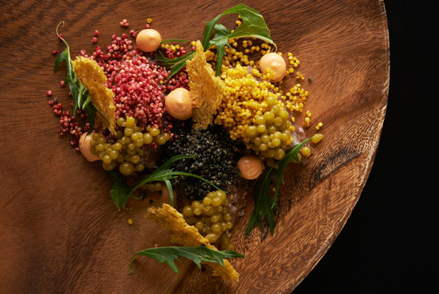 ElBaqueano-LATAM-2017-DISH1