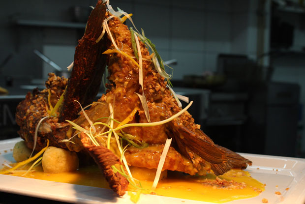 Fiesta-LATAM-2017-DISH1