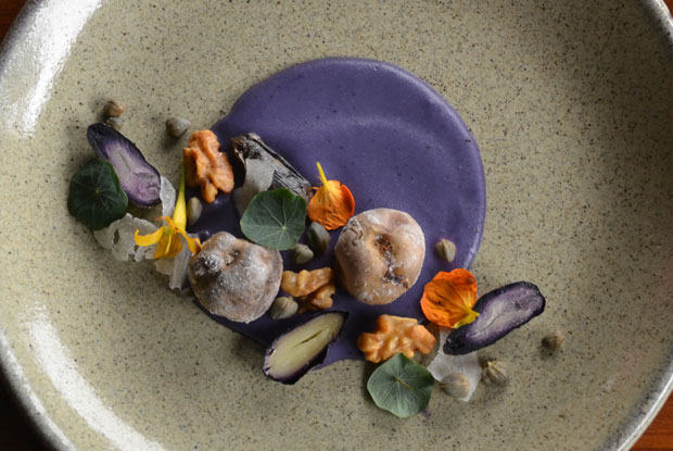 Gusto-LATAM-2017-DISH2