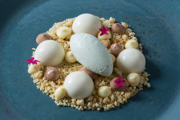 Pangea-LATAM-2017-DISH2