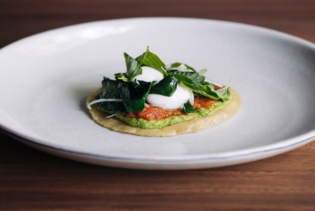 Pujol-LATAM-2017-DISH1