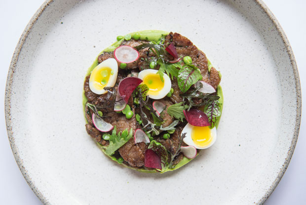 Rafael-LATAM-2017-DISH1