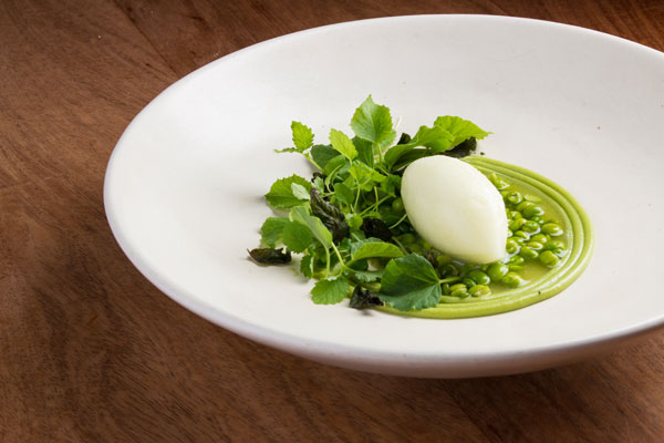 Alcalde-dish2-blog-HNE