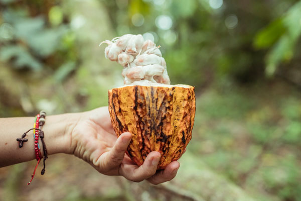 Momento-Amazon-fruit