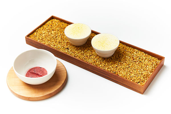 Art-of-H-beeswax-pollen