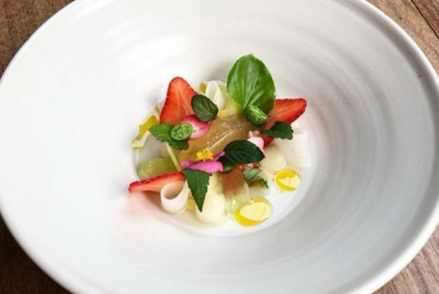 Alcalde-LATAM-2019-DISH1