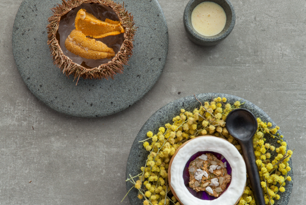 Borago-LATAM-2019-DISH2
