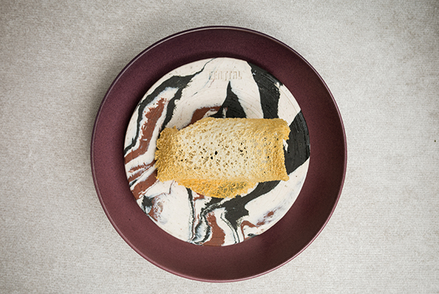 Central-LATAM-2019-DISH1