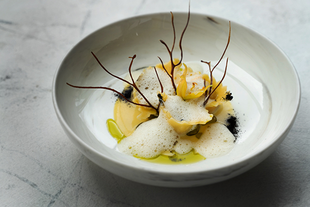 Chila-LATAM-2019-DISH1