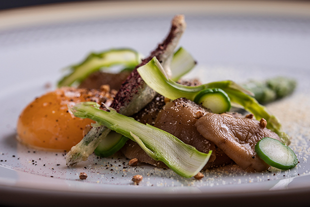 DOM-LATAM-2019-DISH2