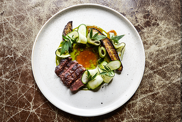 ELCHATO-LATAM-2019-DISH2