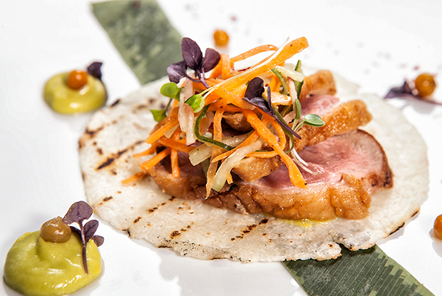 HARRYSASSON-LATAM-2019-DISH2