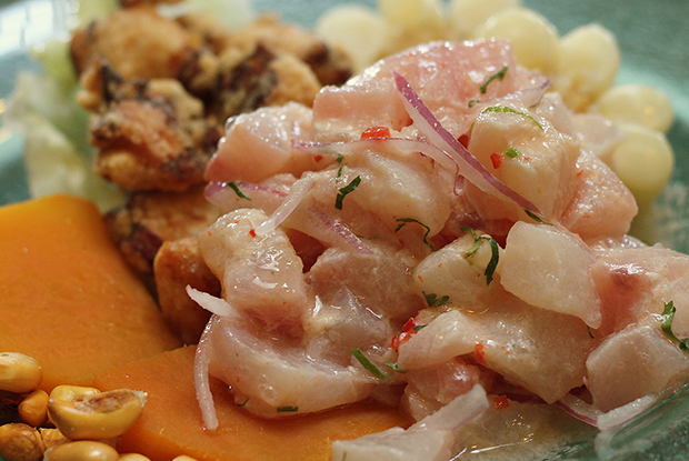 ISOLINA-LATAM-2019-DISH1