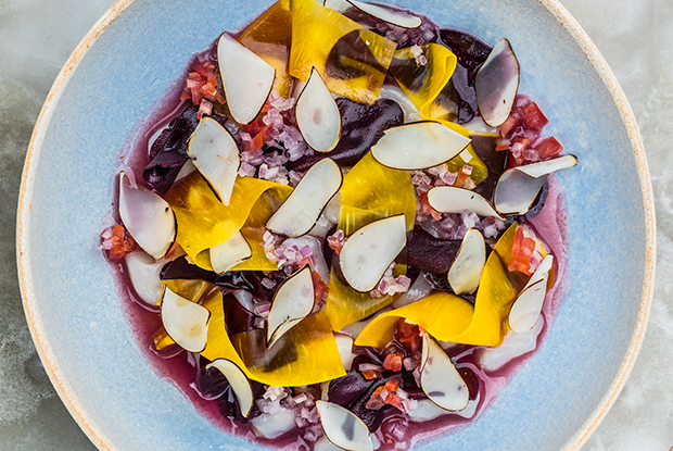 KJOLIE-LATAM-2019-DISH1