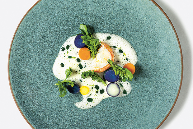Lesai-LATAM-2019-DISH1