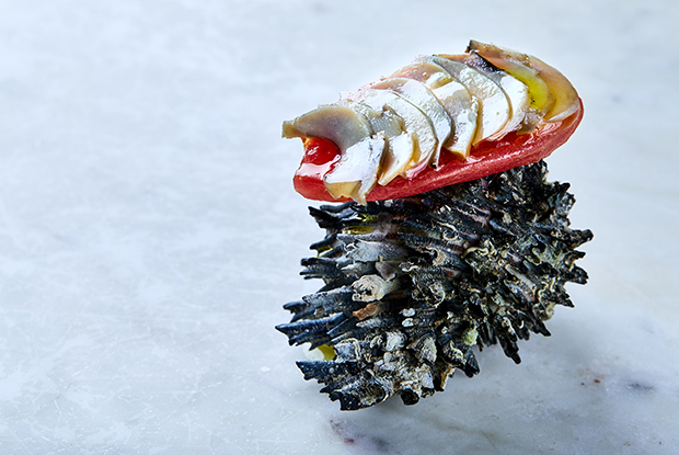 MAITO-LATAM-2019-DISH1