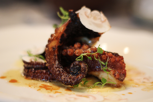 MAXIMO-LATAM-2019-DISH2