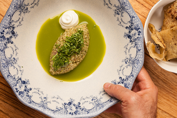 Mishiguene-LATAM-2019-DISH1