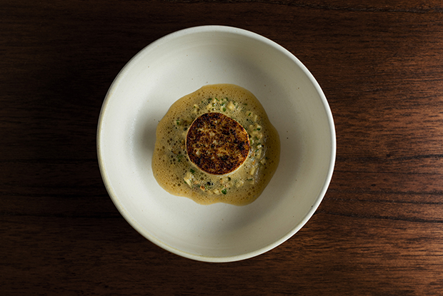 Oteque-LATAM-2019-DISH2