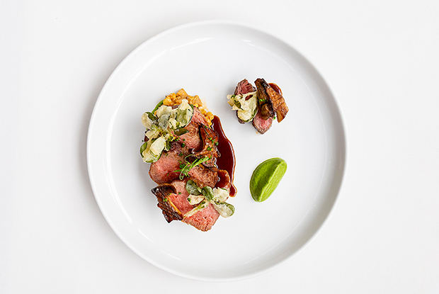 Pangea-LATAM-2019-DISH2